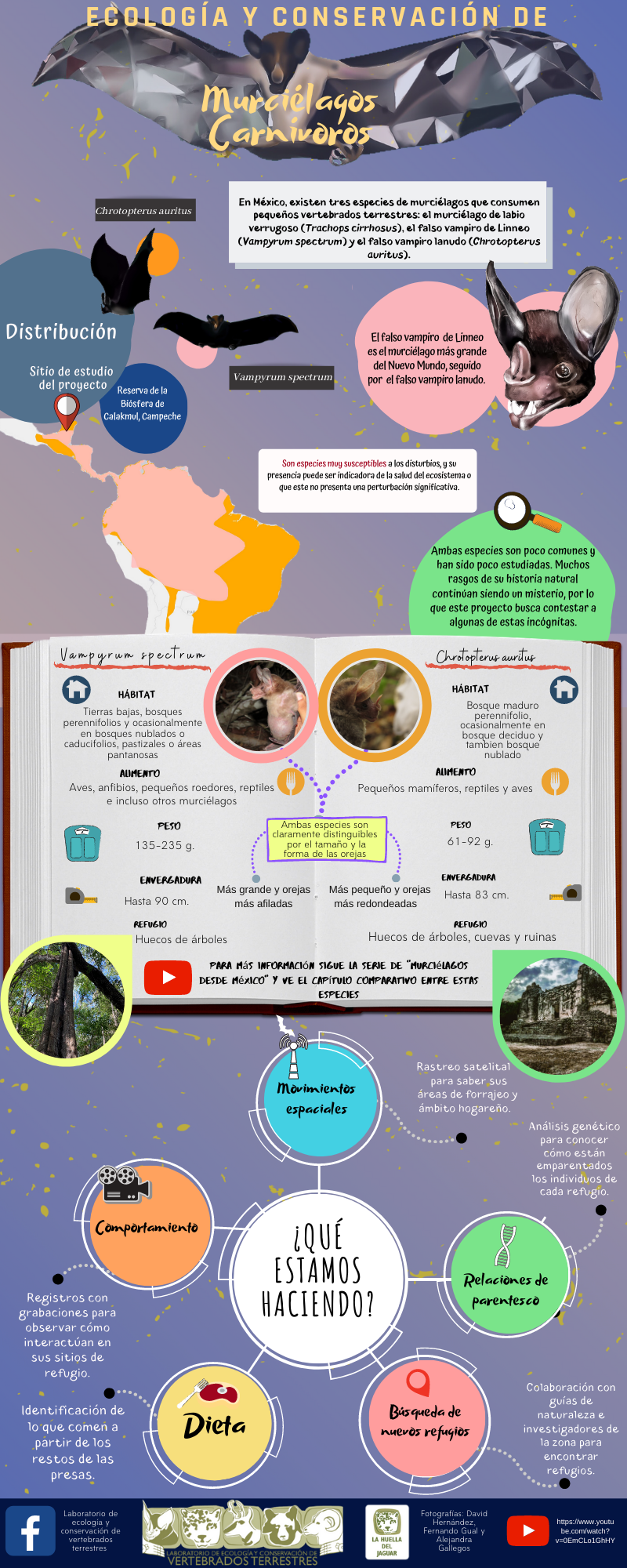 Infografía 